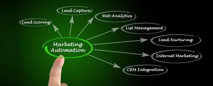 marketing automation leads lists